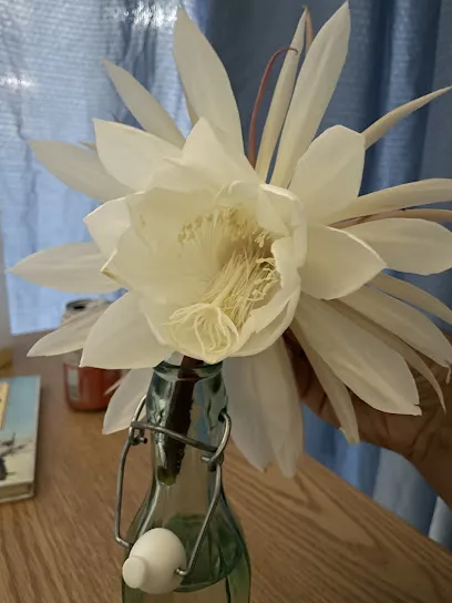 Bicentennial Walk-In Center