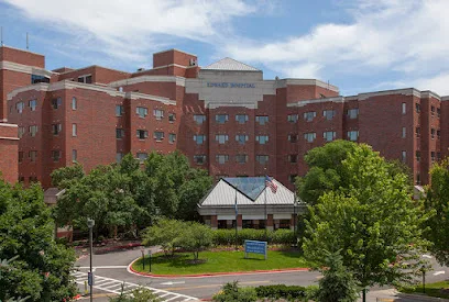 Endeavor Health Edward Hospital primary photo