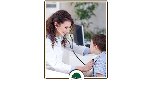 Heartland Emergicare PC