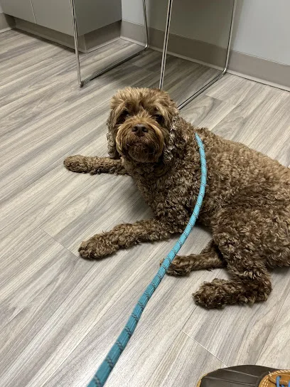 Portland PetMedic Urgent Care Vet Clinic