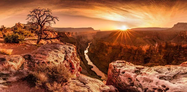 Primary Care Walk-in Medical Clinic