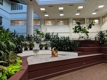 The University of Kansas Health System St. Francis Campus