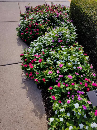 UPMC Emergency Medicine