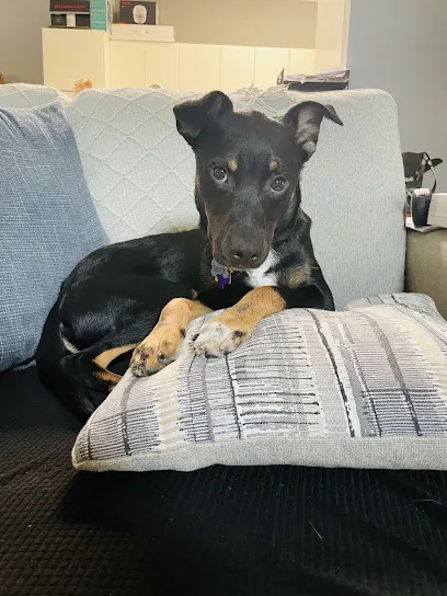 UrgentVet primary photo