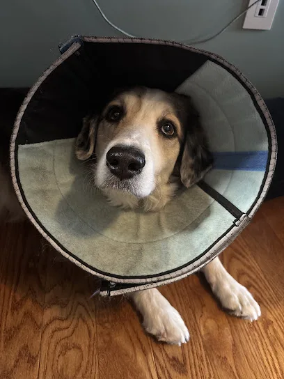 Veterinary Urgent Care Center - Worcester