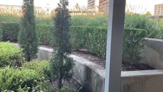 Warren Clinic Urgent Care - Springer